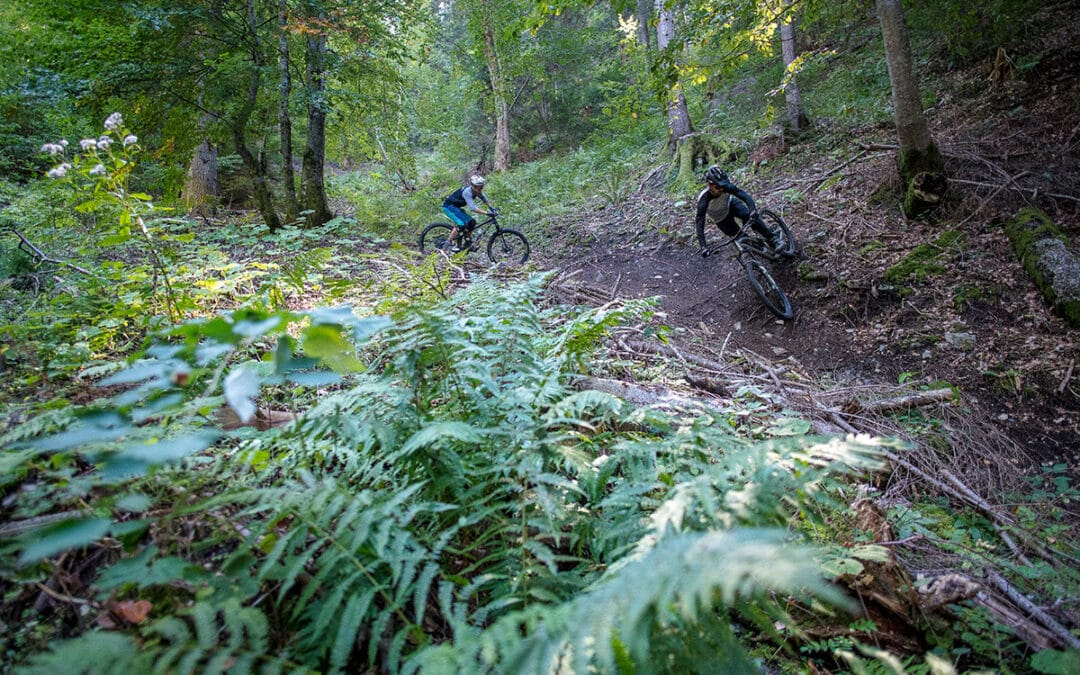 Enduro Nature au Sappey en Chartreuse